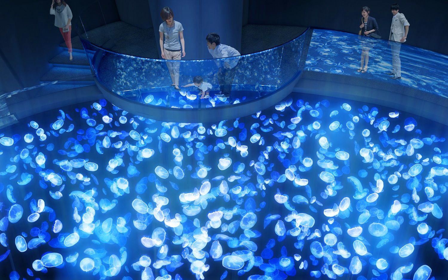 すみだ水族館7 16 木 リニューアルオープン 新体感水槽 ビッグシャーレ や飼育が見れる アクアベース など誕生 Emo Miu エモミュー
