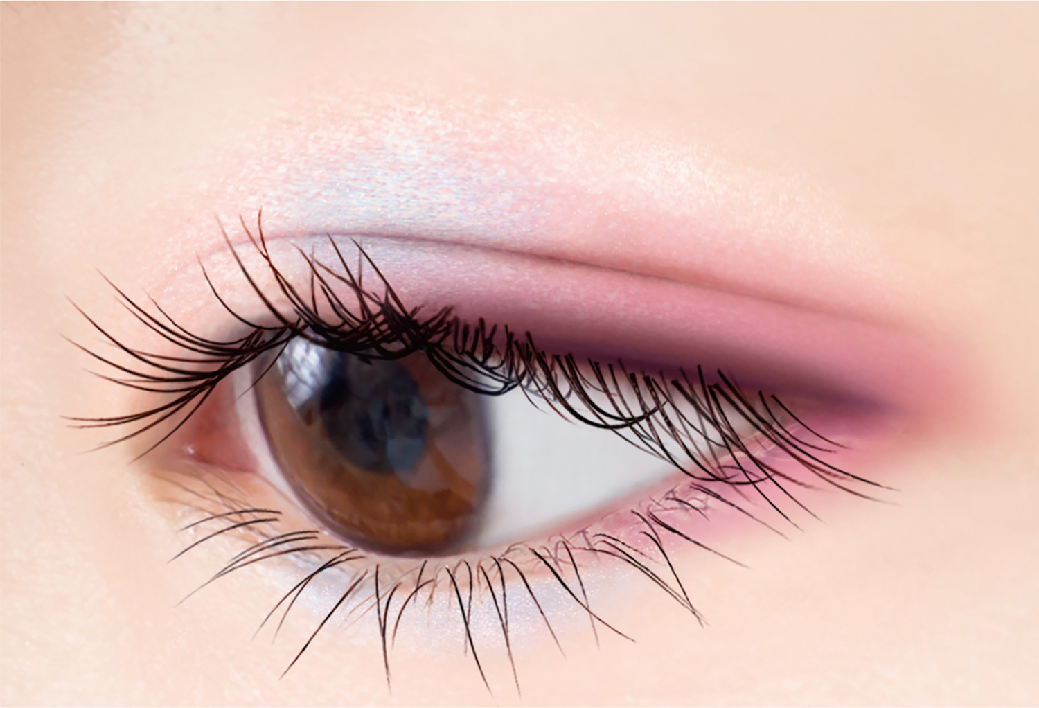 異国情緒がテーマのエクセル限定アイシャドウ アイプランナーパレット 発売 春を感じるカラーと人気の3つの質感を1つに Emo Miu エモミュー