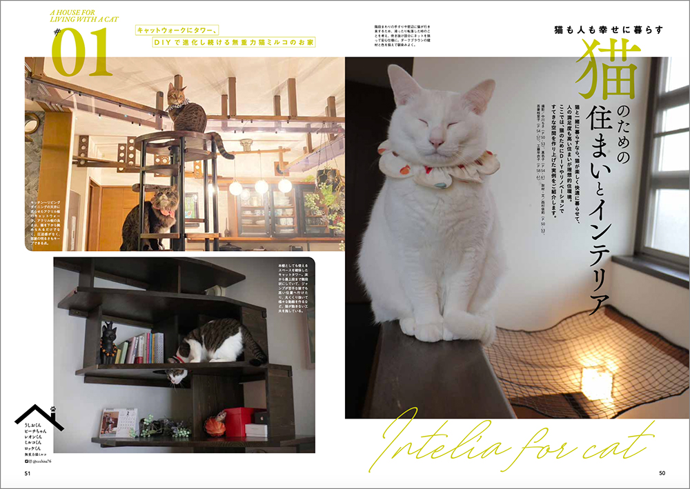 俳優 杉野遥亮とふわふわキュートな子猫に思わずきゅん まるまる ニャンコ な1冊 ネコブロスvol 2 発売 Emo Miu エモミュー