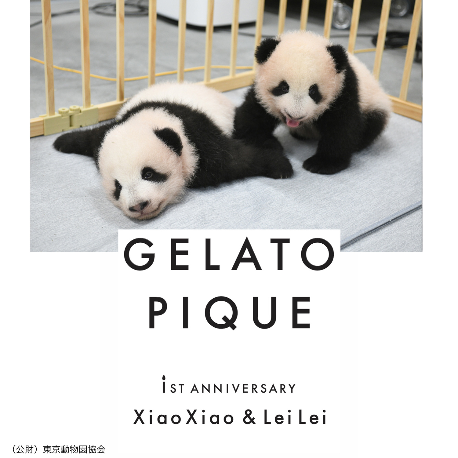 国内配送gelato pique ジェラートピケ パンダ セットアップ パーカー パンツ ルームウェア
