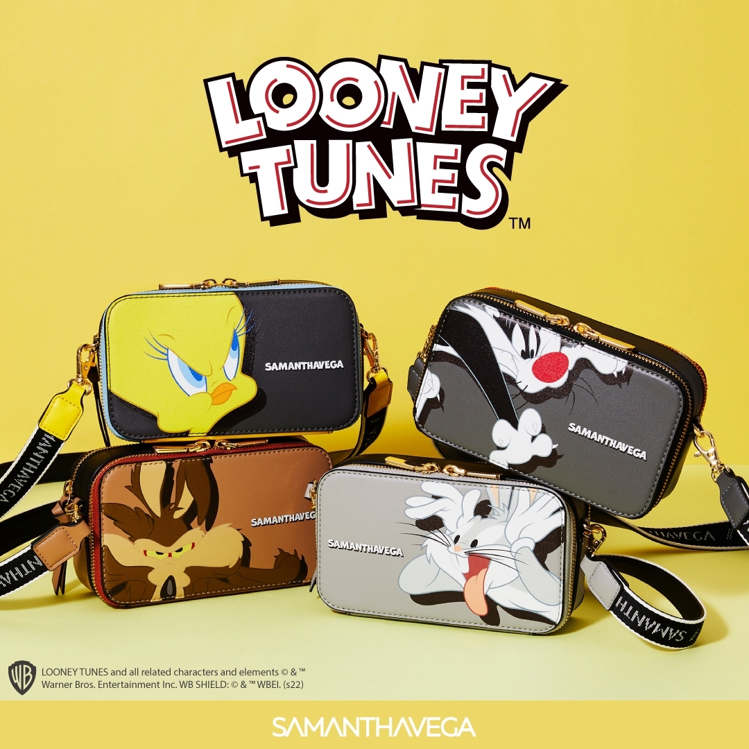 ルーニー・テューンズ コレクション ダフィー&ポーキー 特別版  