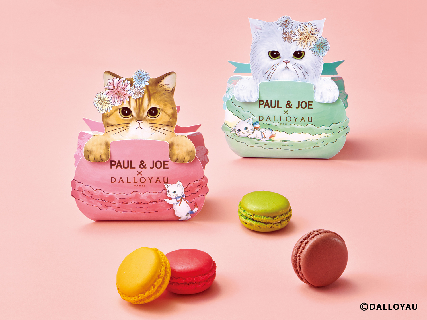 PAUL & JOE(ポールアンドジョー)×ダロワイヨ、初コラボが実現 