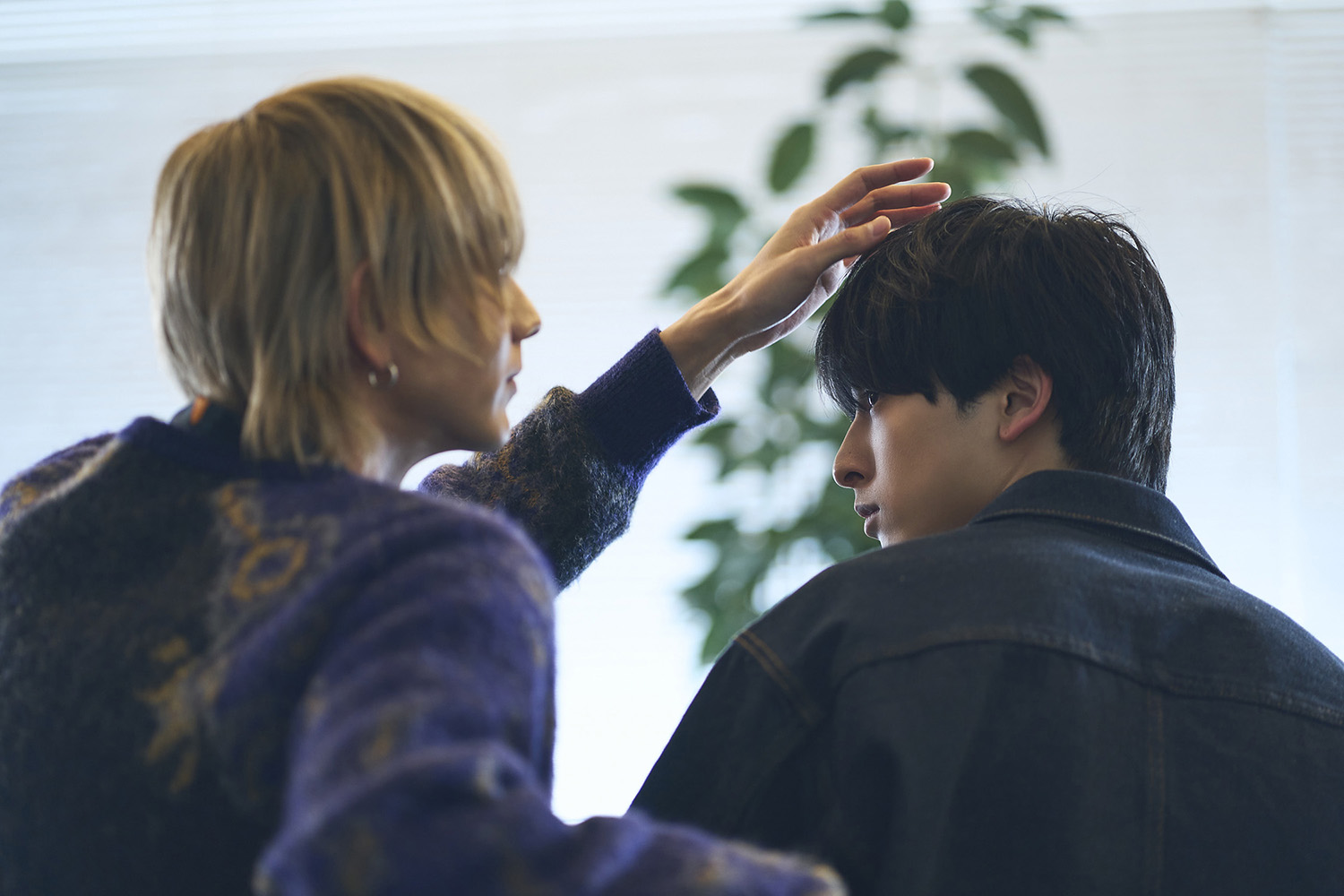 駒木根葵汰×新原泰佑W主演！ドラマ「25時、赤坂で」本作の魅力が 