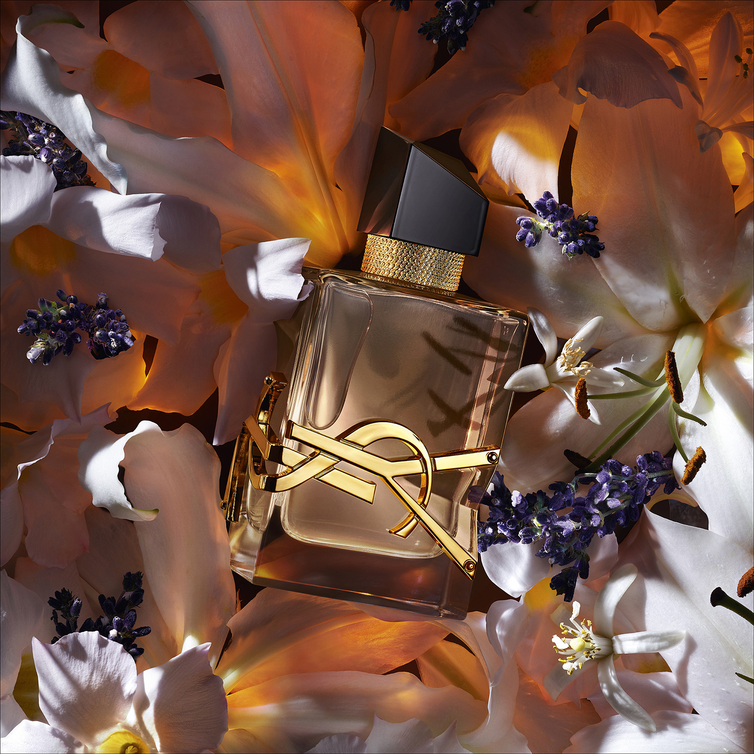 平野紫耀、ELLE JAPAN×YSL BEAUTYタイアップムービー＆写真解禁 