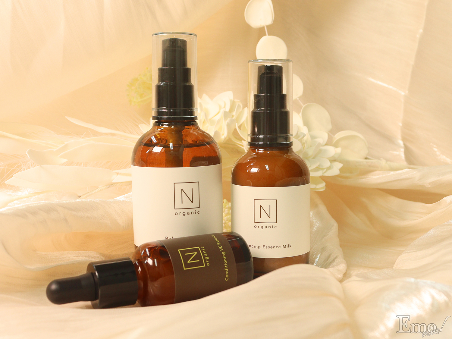 N organic Basic セット