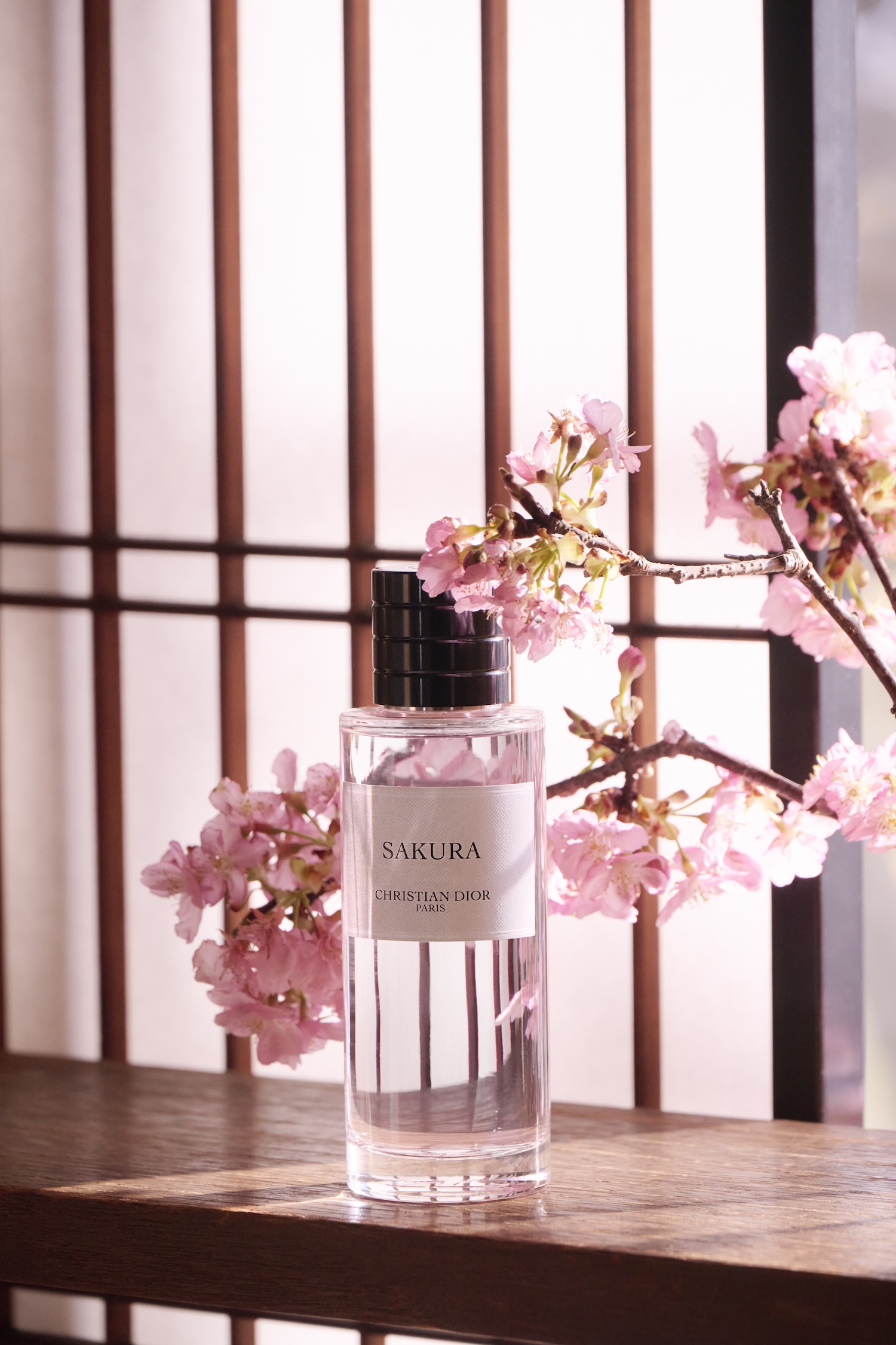 Christian Dior クリスチャンディオール ショルダーバッグ
