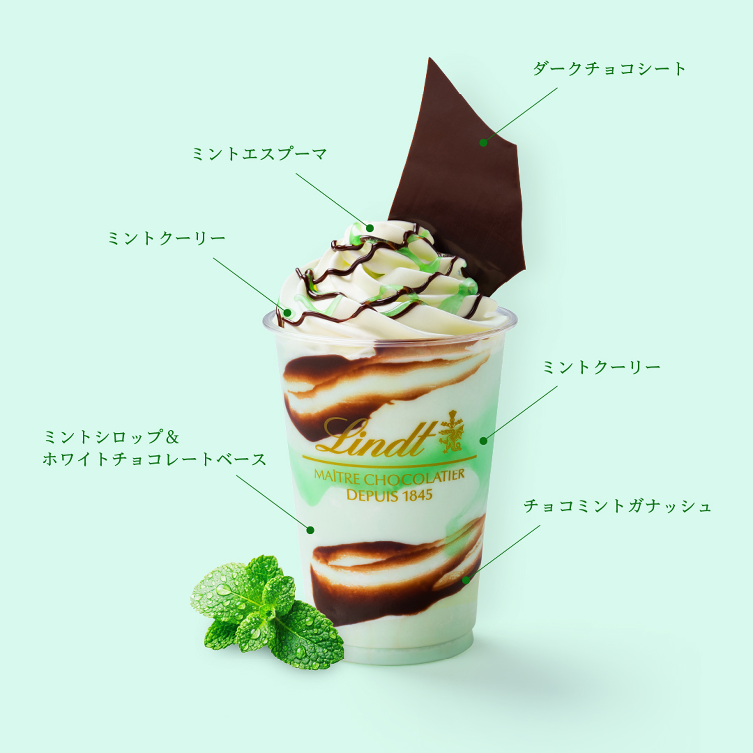 ミント×カカオ52％”の黄金比！こだわり抜いたチョコレートが主役の
